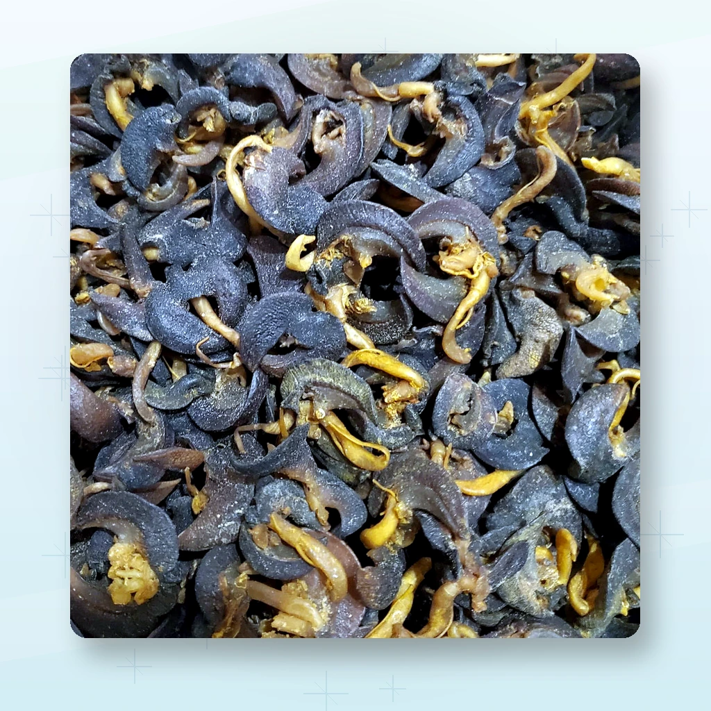 Premium African Dried Snails 250g – All-Natural, Wild-Caught, Hand-Cleaned, Sun-Dried Snail Meat – High Protein Keto-Friendly Delicacy – Ready to Cook, No Preservatives