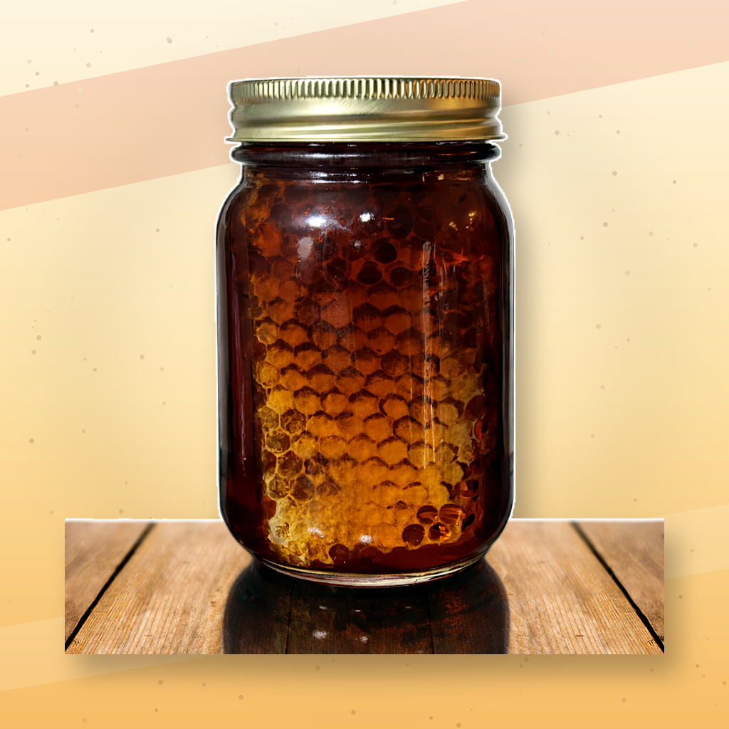 African Natural Pure Raw Honey with Honeycomb Chunk in Glass Jar – 100% Unfiltered, Unprocessed, Non-GMO, Wild Harvested from African Beehives – Rich in Enzymes, Antioxidants & Nutrients – 16oz