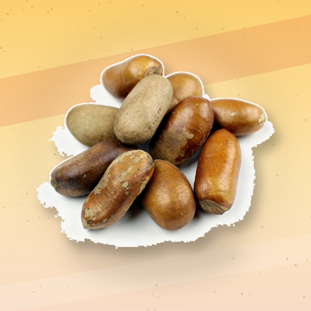 Whole Pebbe Spices / Wede Aba / Pèbé / Ehuru 8oz – Authentic African Nutmeg