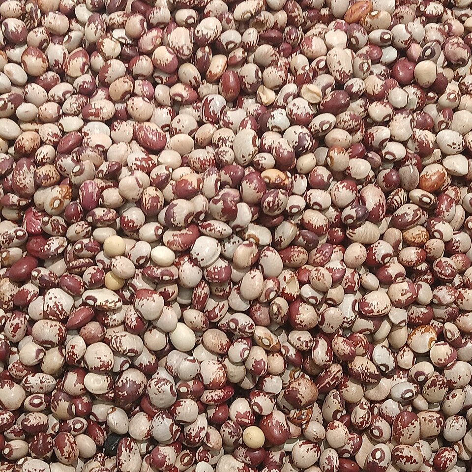 Honey Beans 4lb