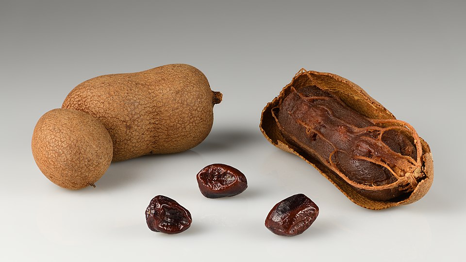 Tamarind Block 14oz